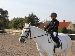 img-2845-048-860